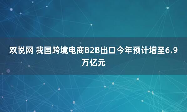双悦网 我国跨境电商B2B出口今年预计增至6.9万亿元