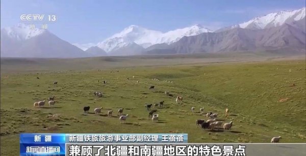 钜阵资本 一张火车票，玩转N座城 山东铁路解锁慢游新姿势，暑期畅游更自由