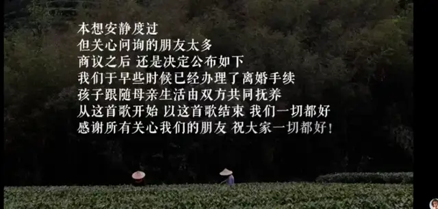 国华通配资 54岁演员李亚鹏官宣离婚：孩子跟随母亲生活